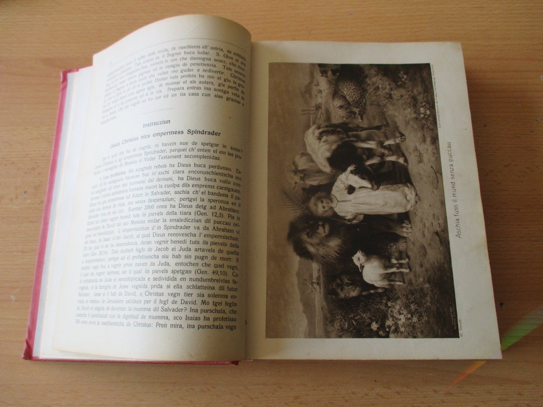 Libri: Cudisch dals evangelis 1930 – Usato da Flims - Dorf venduto da Stagediver 3