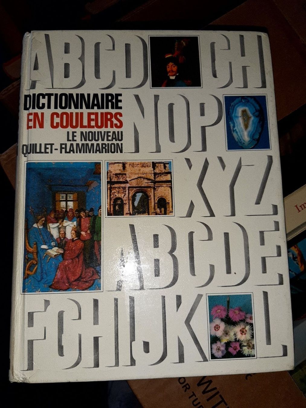 Libri: dictionnaire en couleurs – Usato da Le locle venduto da juliensaran