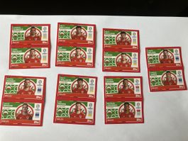 Topps Euro 2024 Wales