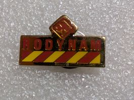 Ansteckpin 258: Rodynam