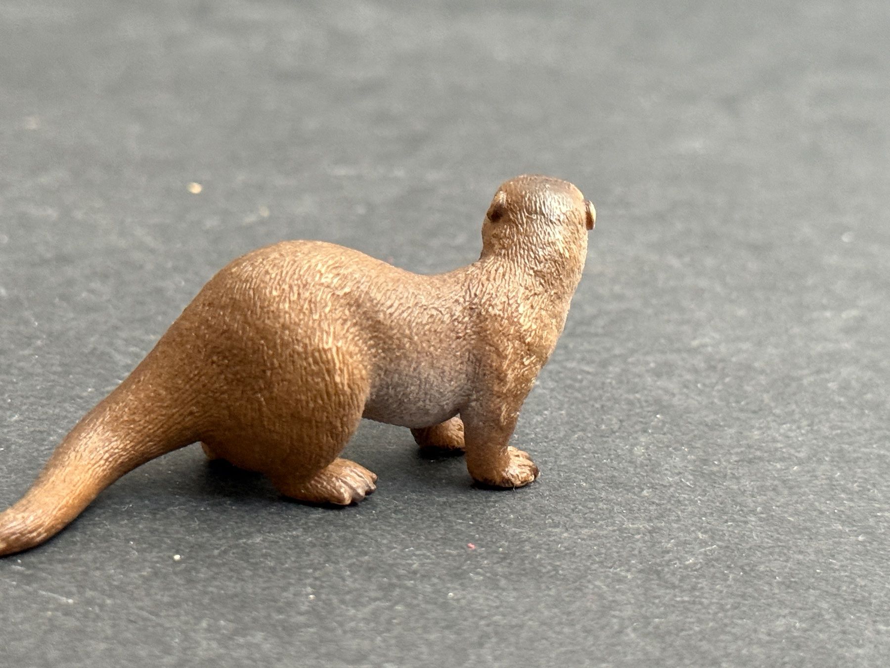Schleich Statuette: Schleich Otter Tier Schleichtier – Usato da Ennetbaden venduto da mapa05 3