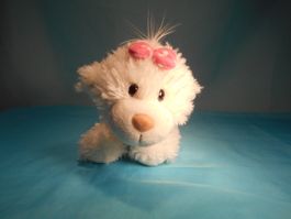NICI Hund mit Mäscheli, L: 20cm