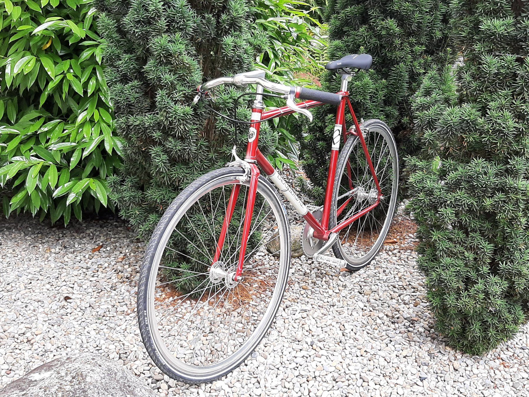 Bergamont Velos: Singlespeed / Fixie – Gebraucht aus Schwadernau von Henry04 5