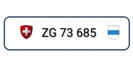 Autokennzeichen ZG73685