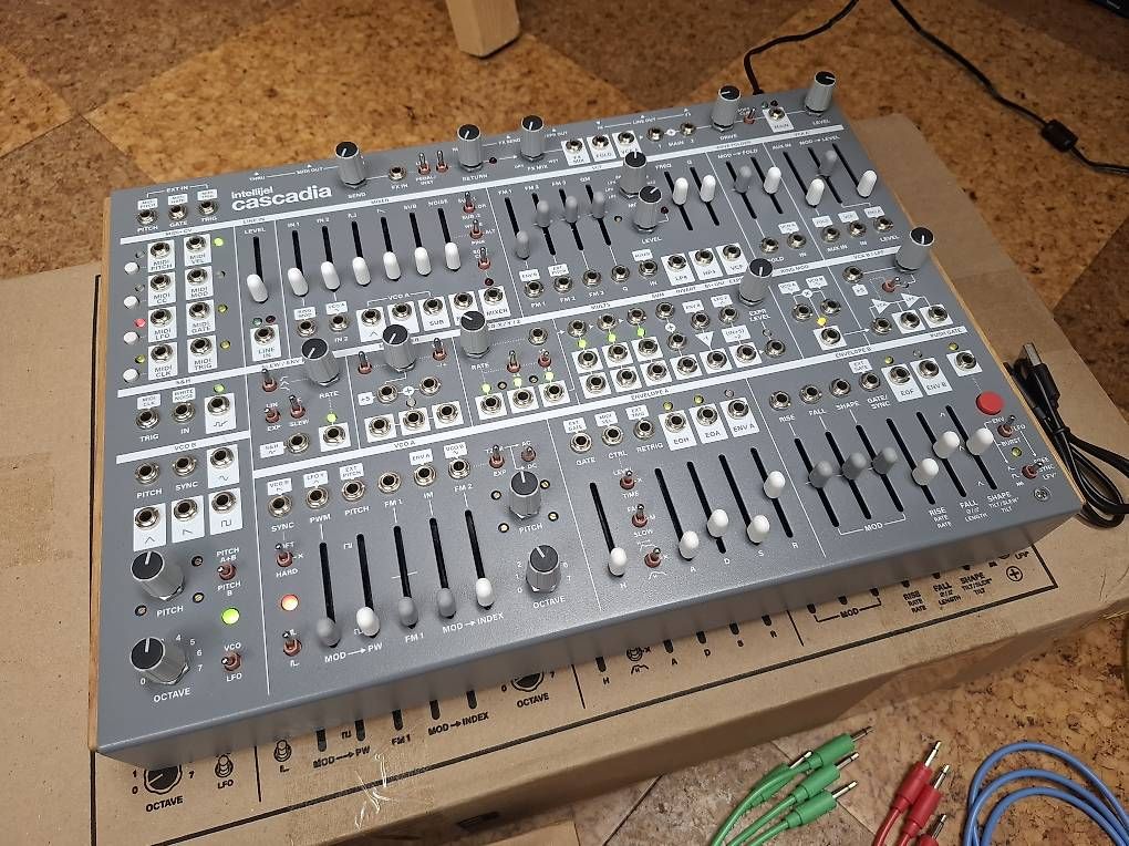 Musikinstrumente: Intellijel Cascadia mit Rack-Ears und Accessoires – Gebraucht aus Port von Sinusgenerator 1