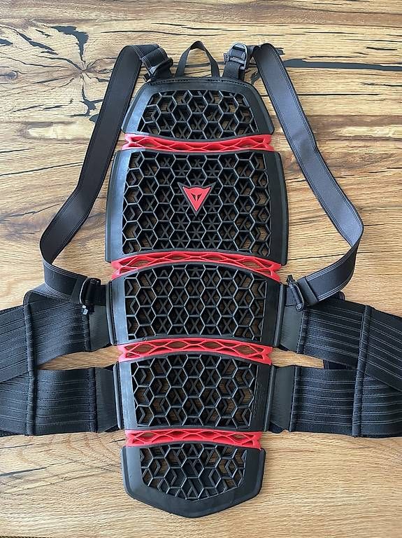 Dainese Schutz & Schoner: Dainese Pro Armor 2.0 Rückenprotektor  wie neu – Neu (gemäss Beschreibung) aus Hausen AG von SolivaLab
