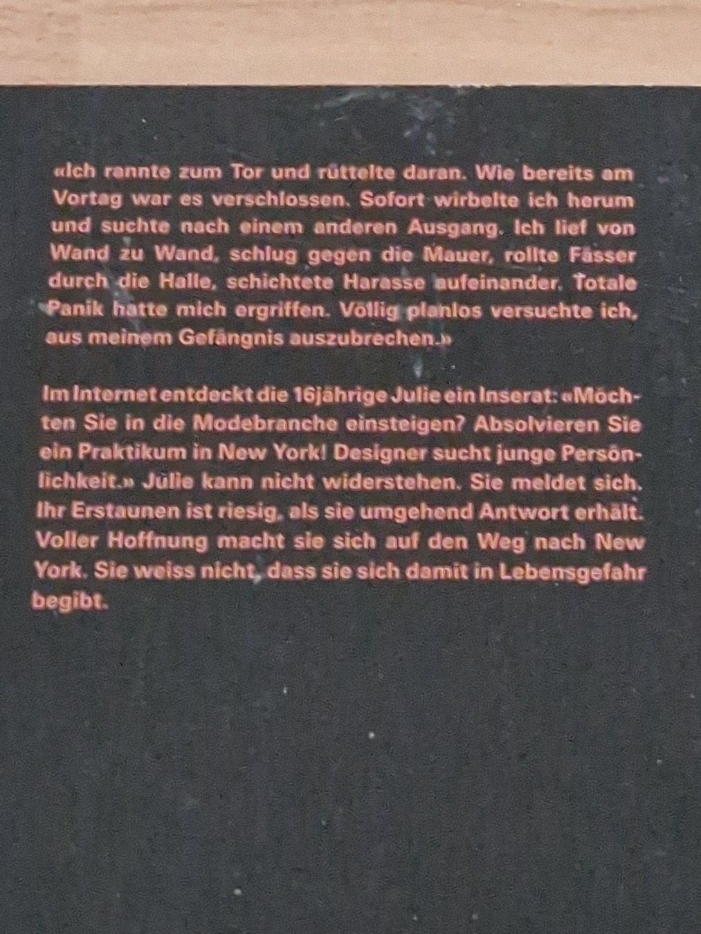 Livres: Petra Ivanov 3 Jugendbücher – Neuf (Voir description) à Neuhausen am Rheinfall par Alchimista 2