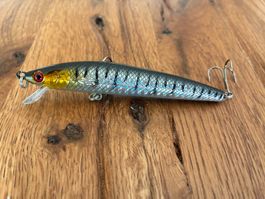 Schöner Crankbait Wobbler Doppelhaken - 10 CM - brandneu!!!
