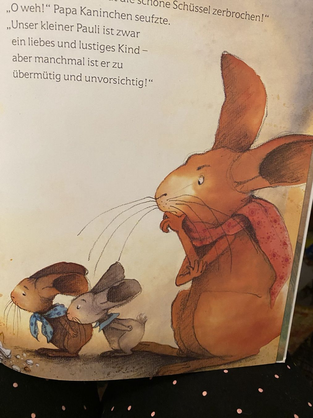 Libri: Pauli komm wieder heim ! – Nuovo (secondo la descrizione) da Sachseln venduto da basti1950 3