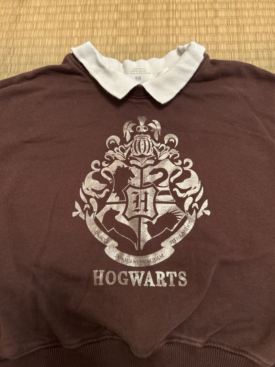 H&M Pullover & Sweatshirts: Hogwarts Pullover – Gebraucht aus Uetikon am See von barceloneta 1