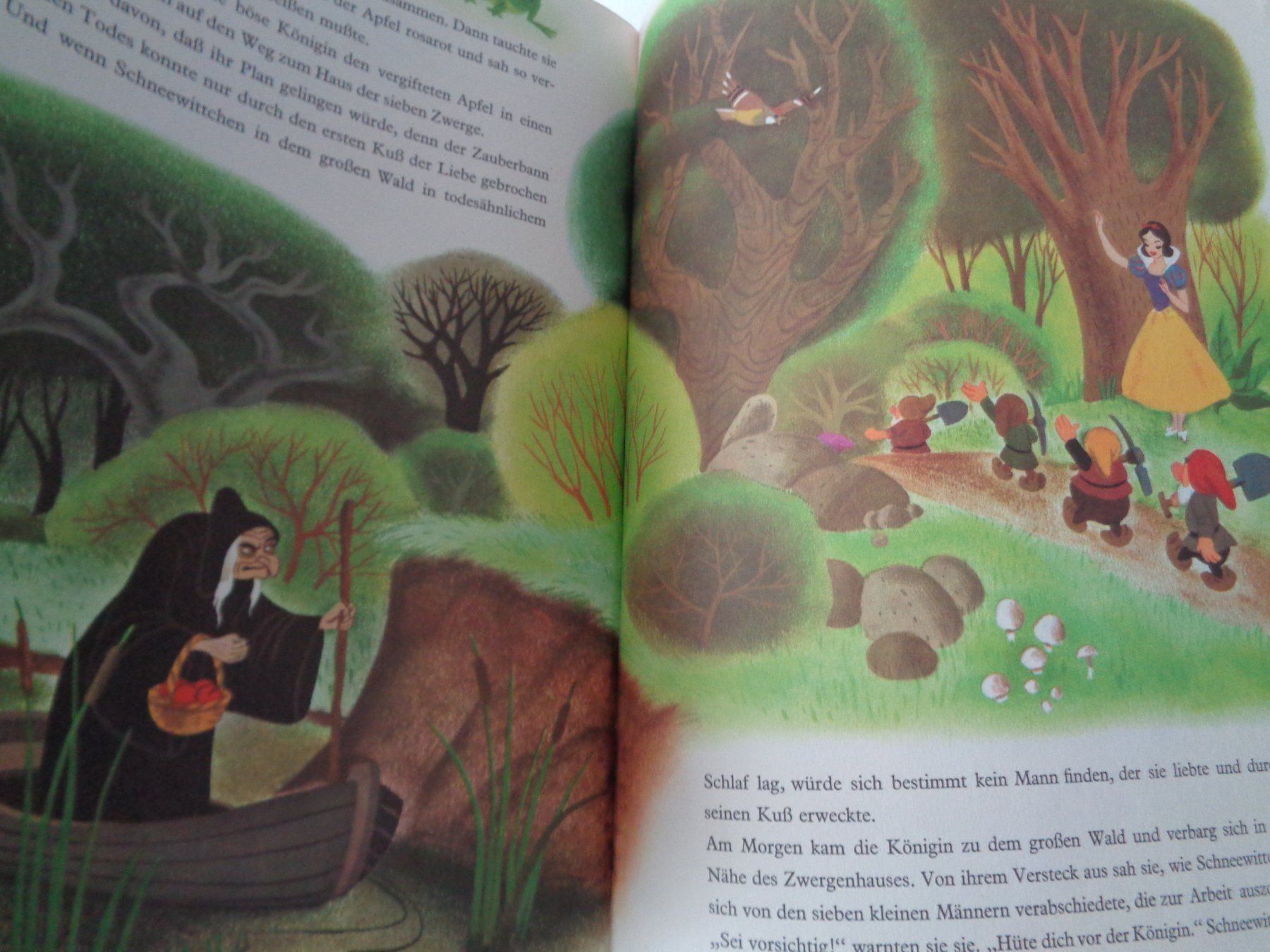 Libri: Walt Disney Schneewittchen die 7 Zwerge – Usato da Chur venduto da omonia 4