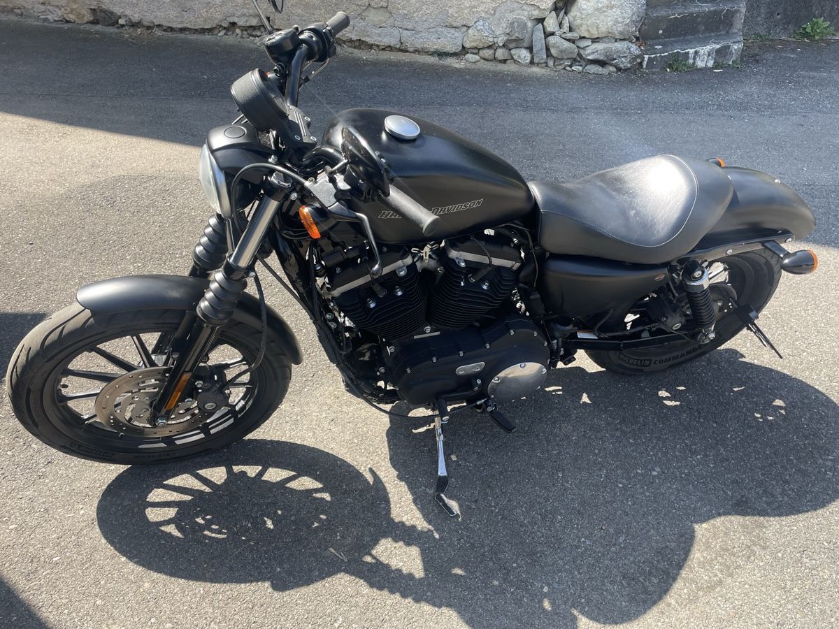 Harley-Davidson Chopper: Harley Davidson XL 883N – Gebraucht aus Birrwil von Memme0 1