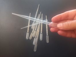 500x Graduierte Transferpipette 3ML Pipette transfert gradué