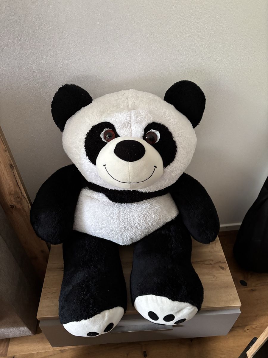Migros Spielzeuge: Riesen Panda Plüsch 75cm – Gebraucht aus Sursee von aur_75qq 1