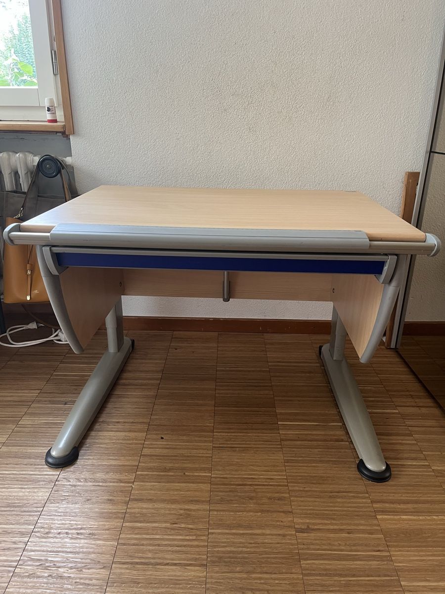 Moll Schreibtische: Moll Compact Schreibtisch /-pult – Gebraucht aus Basel von royal-boys 3