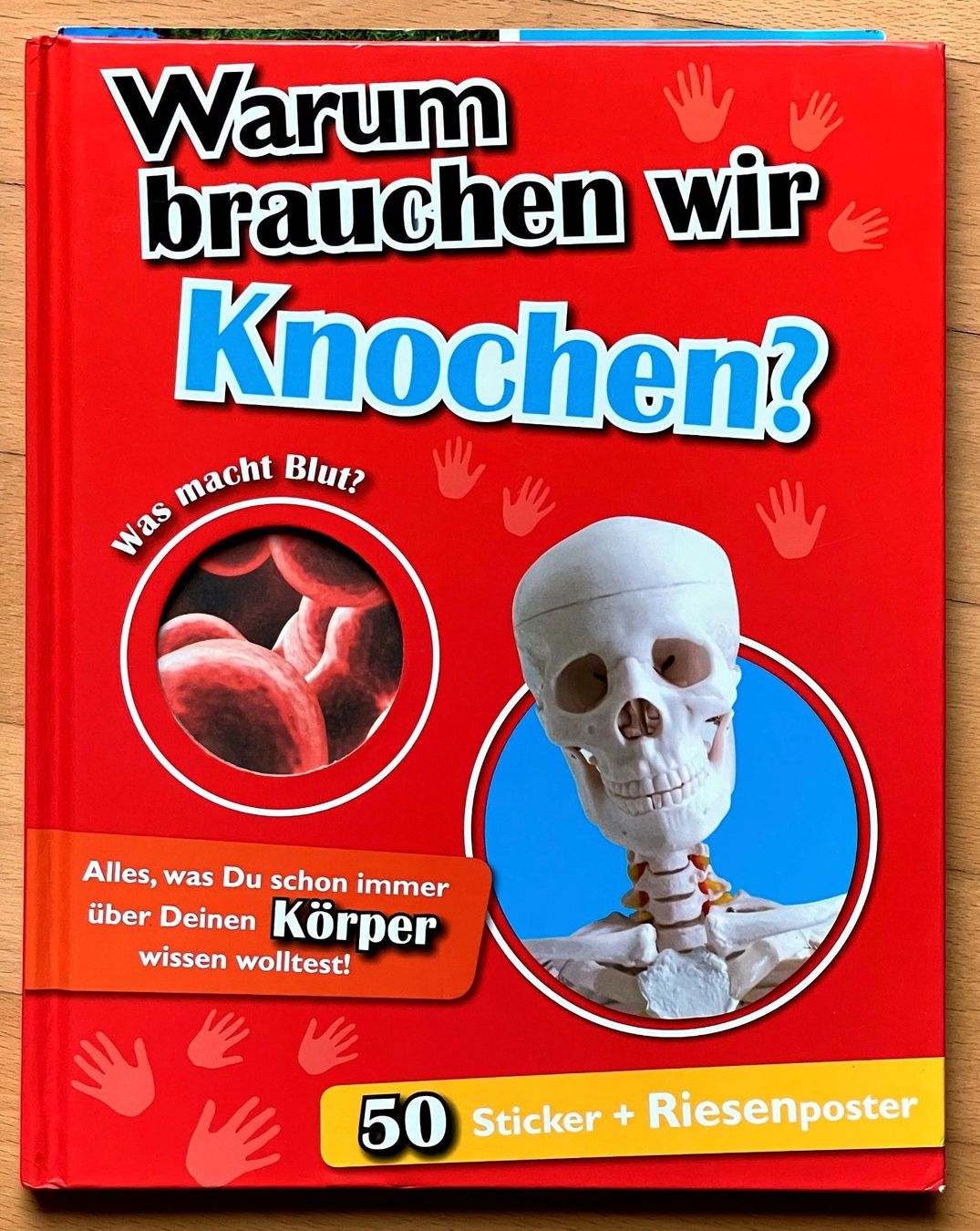 Bücher: Kinderbuch "Warum brauchen wir Knochen" – Gebraucht aus Walchwil von Sharky69
