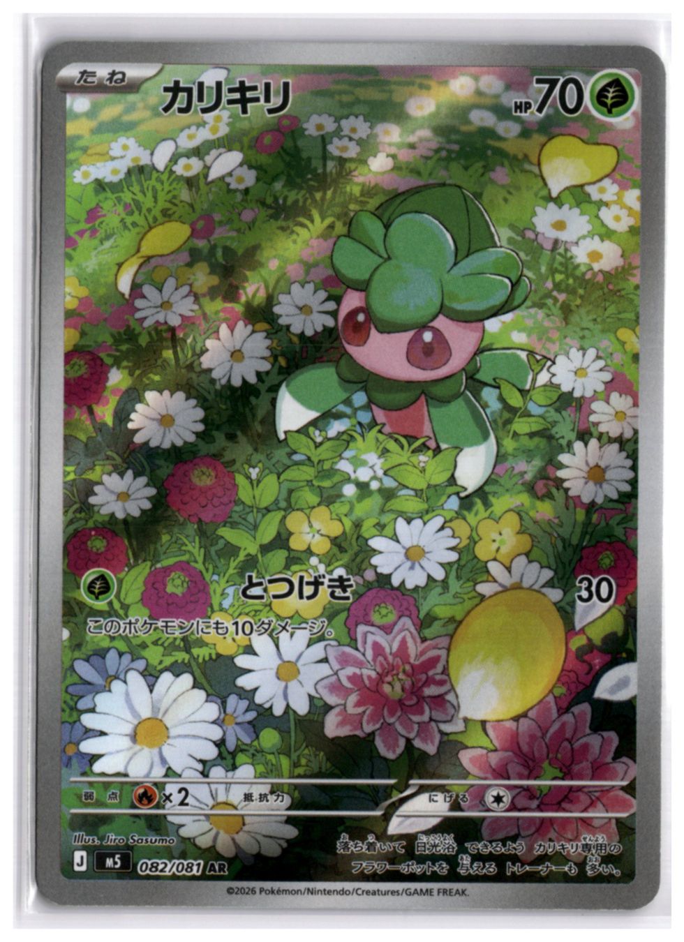 Pokémon Carte collezionabili: Fomantis (M5 082) AR – Nuovo (secondo la descrizione) da Andwil TG venduto da Artrarecards_Etter
