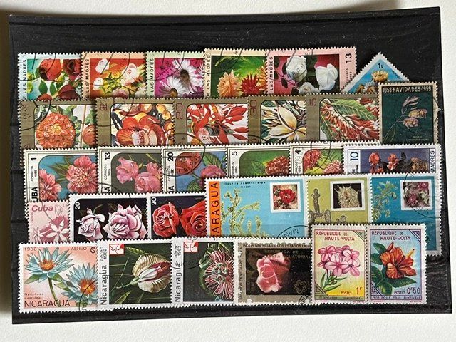 Tutti i francobolli: 30 timbres différents thématique fleur n°3 – Usato da Satigny venduto da buc_d7s5