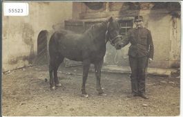 Armee Suisse - Soldat mit Pferd
