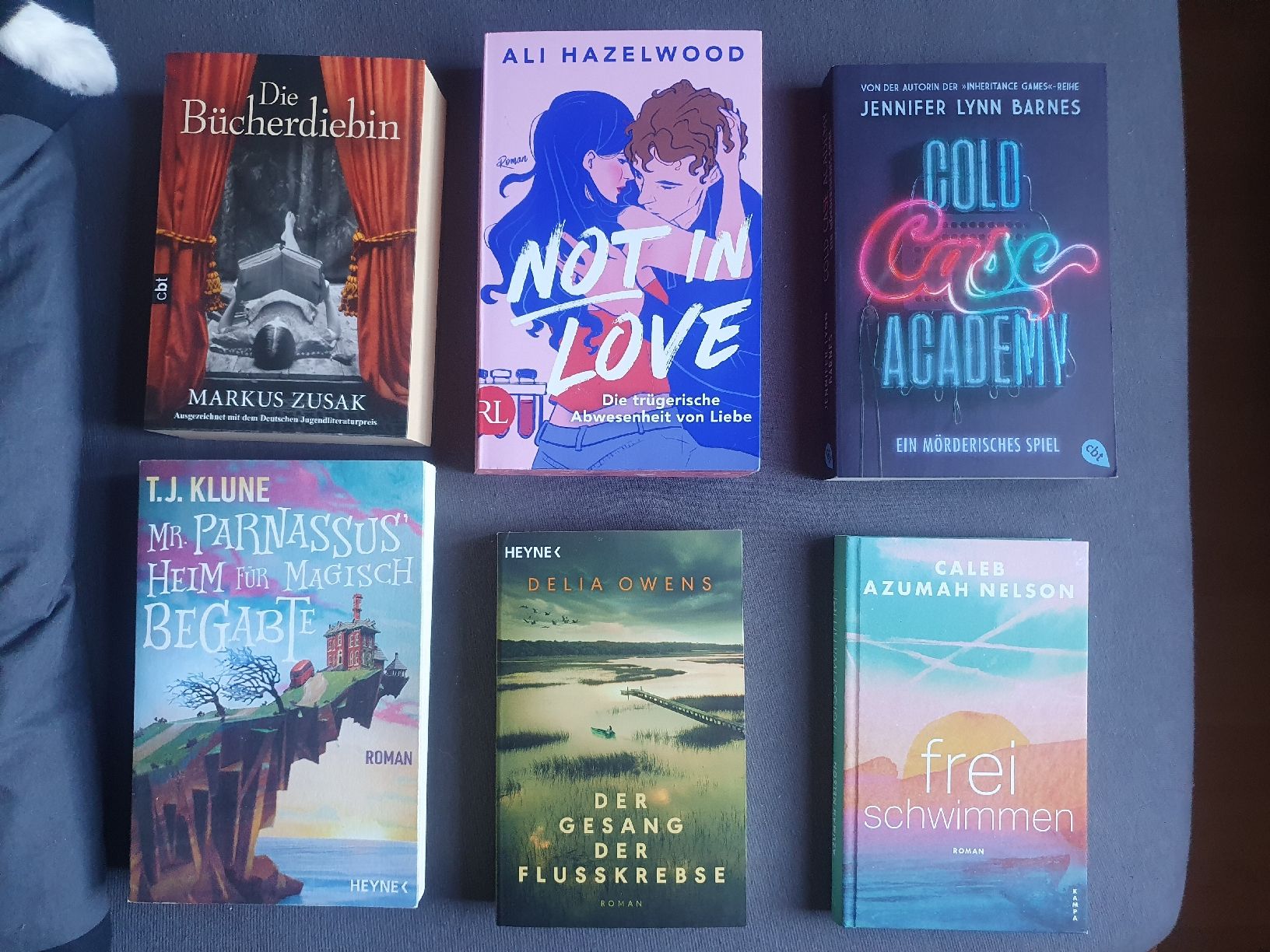 Libri: Bücherpaket, diverse Romane – Usato da Wimmis venduto da hel_m26m