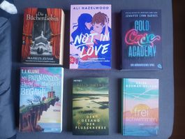 Bücherpaket, diverse Romane