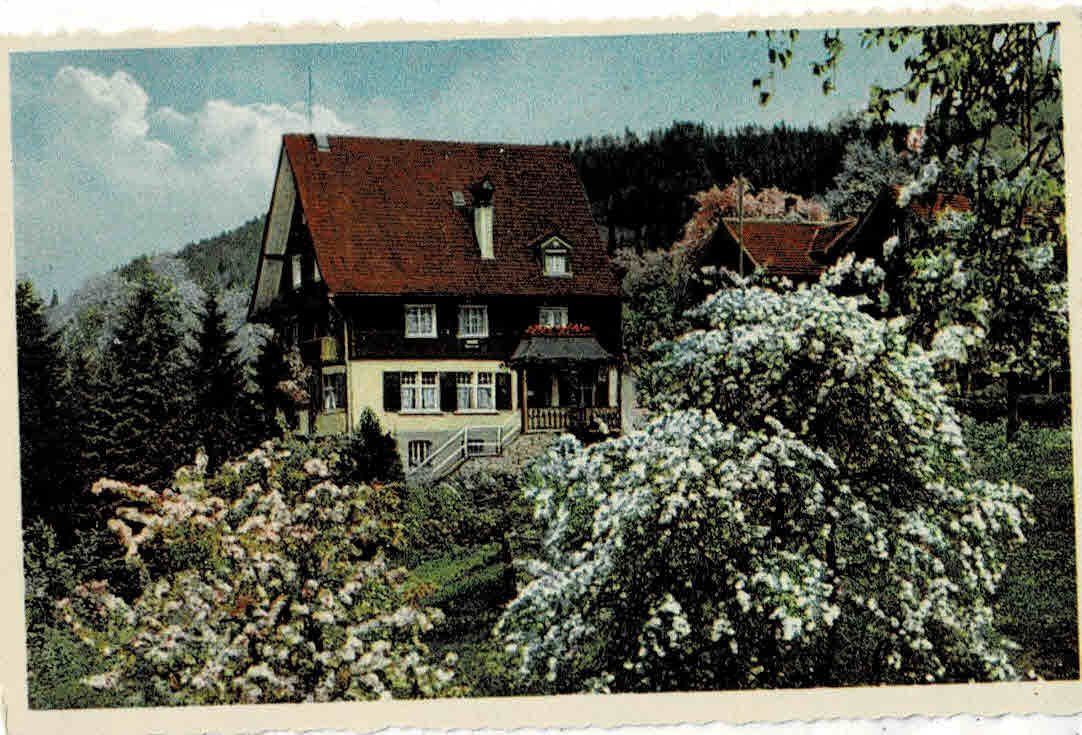 Cartes postales: Rieden St,Gallen Pension Bellevue – D'occasion à Sulz AG par Oberdanne8