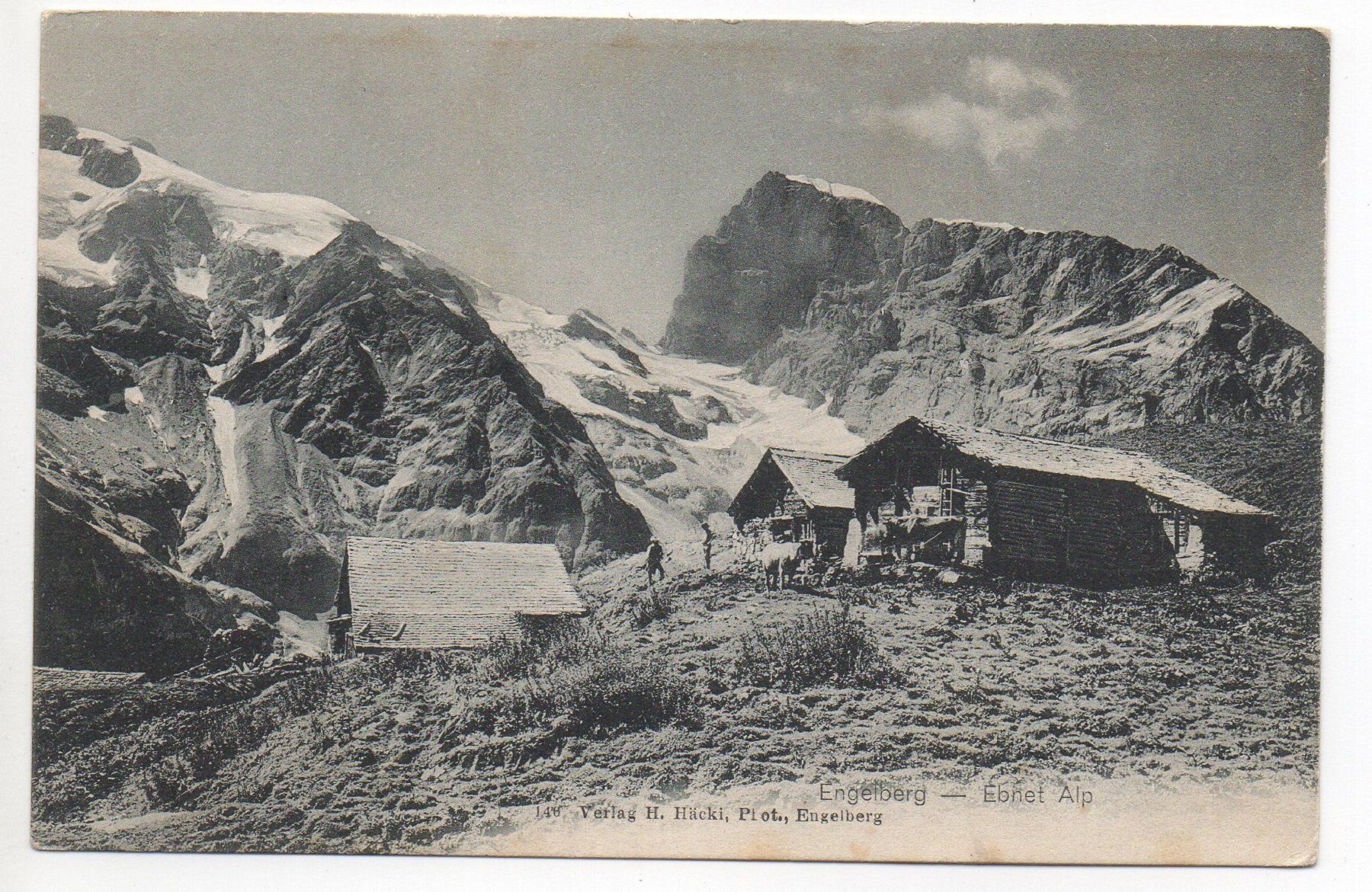Ansichtskarten: ENGELBERG Ebnet Alp - Landwirtschaft – Neu (gemäss Beschreibung) aus Jona von philajona