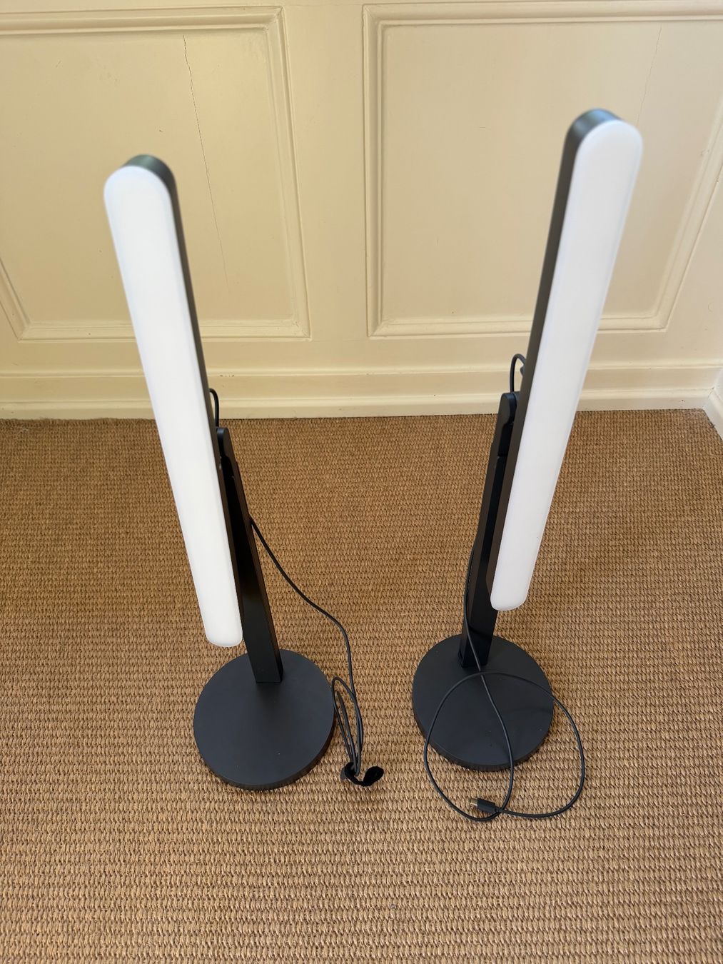 Lampade: 2x Logitech Litra Beam LED Streaming light – Usato da Founex venduto da mc0_6f9s