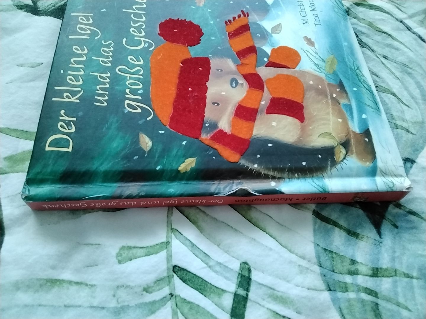 Libri: Der kleine Igel und das grosse Geschenk – Usato da Balterswil venduto da Meerdeern 4