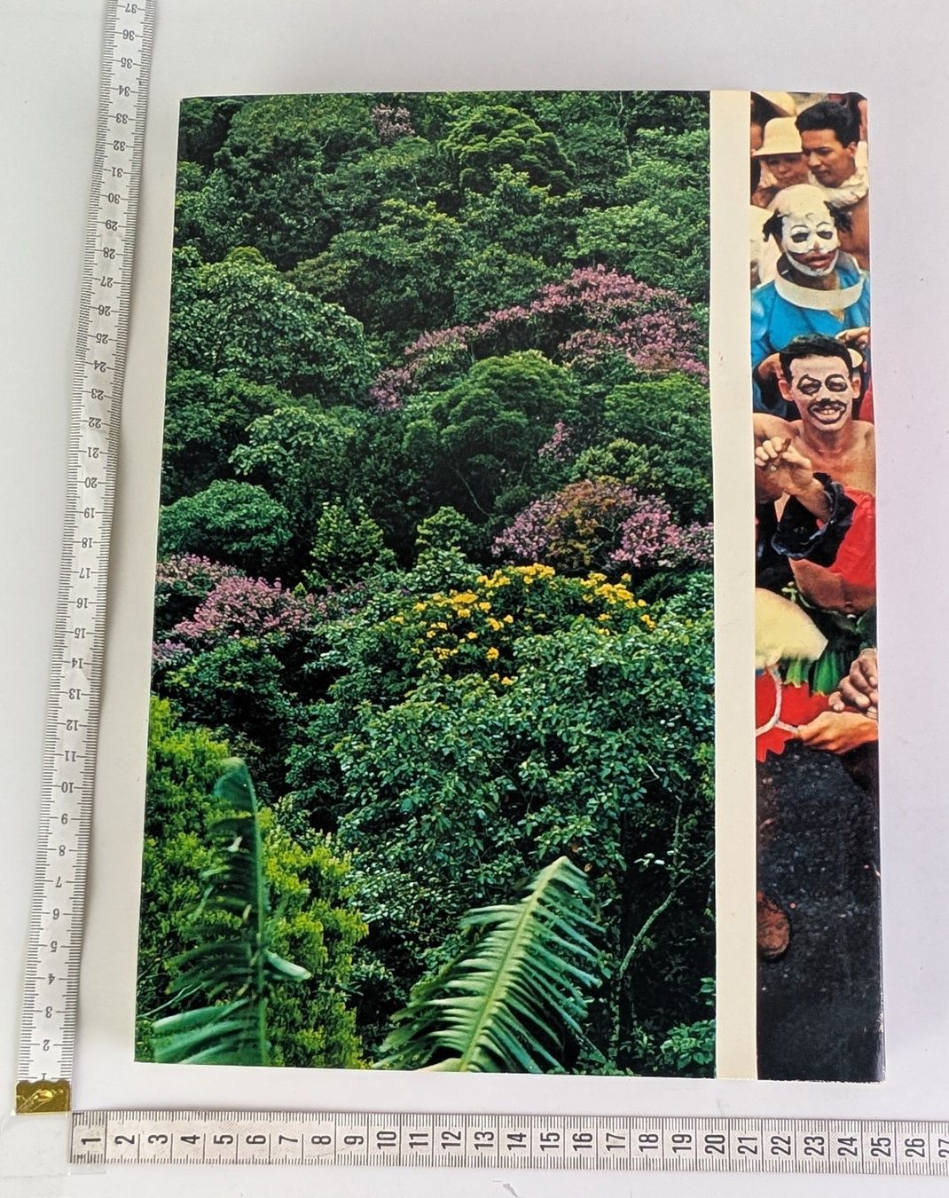 Libri: Brasilien Bildband Silva 1964 – Usato da Zürich venduto da axolottchen 1