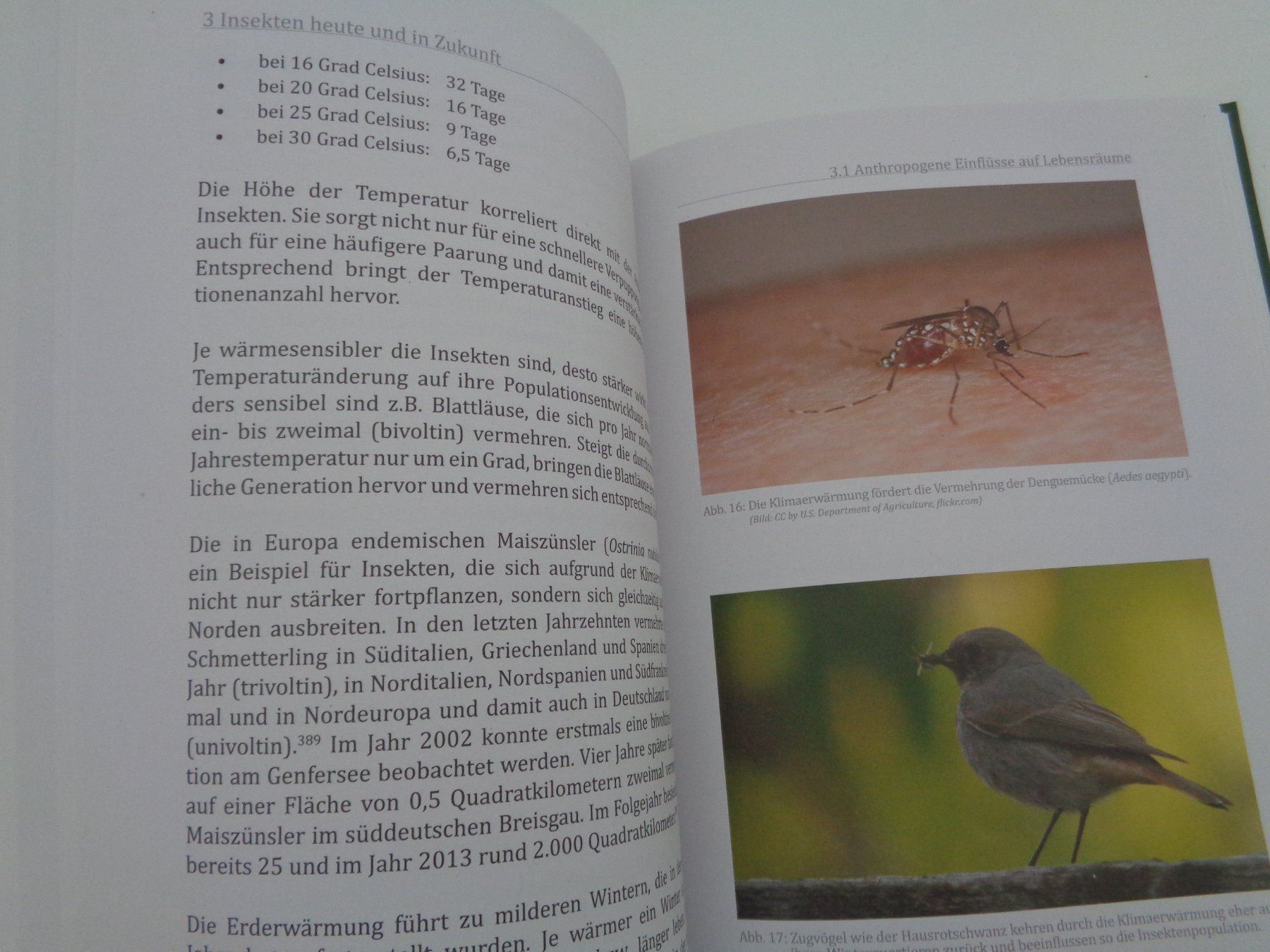 Libri: Warum jede Fliege zählt – Usato da Chur venduto da omonia 6