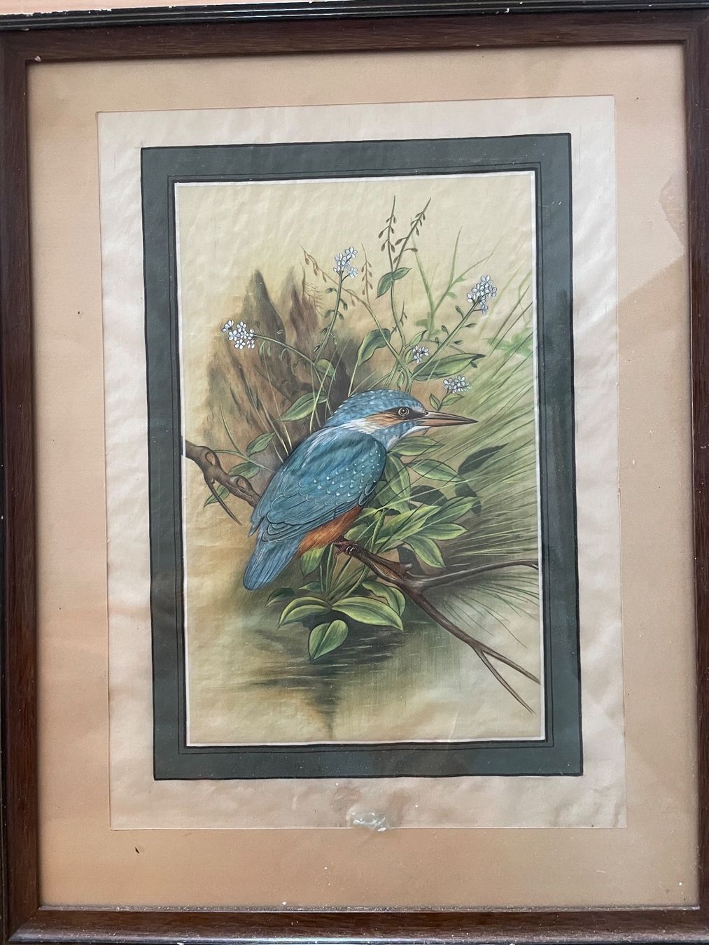 Dipinti: Antikes Eisvogel Aquarell, gerahmt – Usato da Cham venduto da Chramschopf