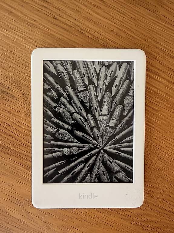 Tablet PC: Amazon Kindle eReader – Usato da Stein AR venduto da Salia 1