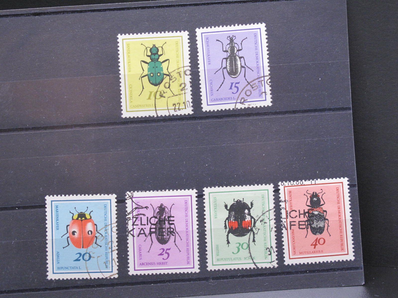 Alle Briefmarken: DDR 1968 Nützliche Käfer gest. – Gebraucht aus Wil SG von fva01