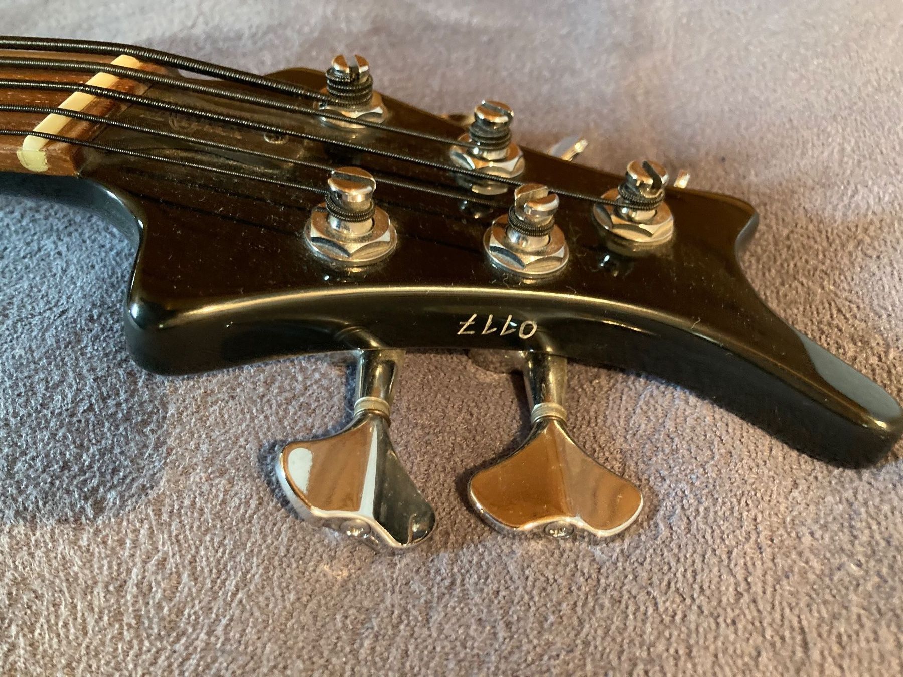 Strumenti musicali: Ritter Seal 5 "Silverbody" E-Bass – Usato da Winterthur venduto da Bagheera74 2