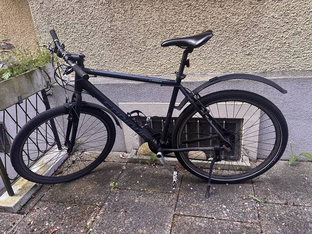 Velos: Cedar Serious Velo – Gebraucht aus Zürich von Buume12
