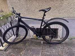 Cedar Serious Velo