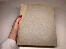 BUCH: Rudolf Bucher, Fliegen Retten helfen
