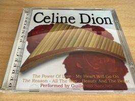 Guillermo Sanchez – Celine Dion