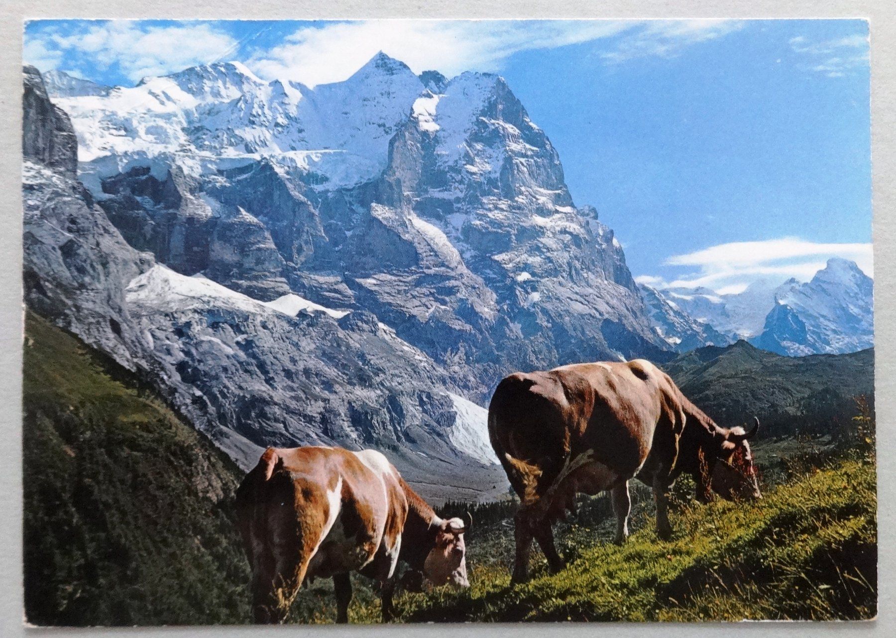 Cartes postales: Rosenlaui 1330 m ü.M. – D'occasion à Fétigny par Billy2miny