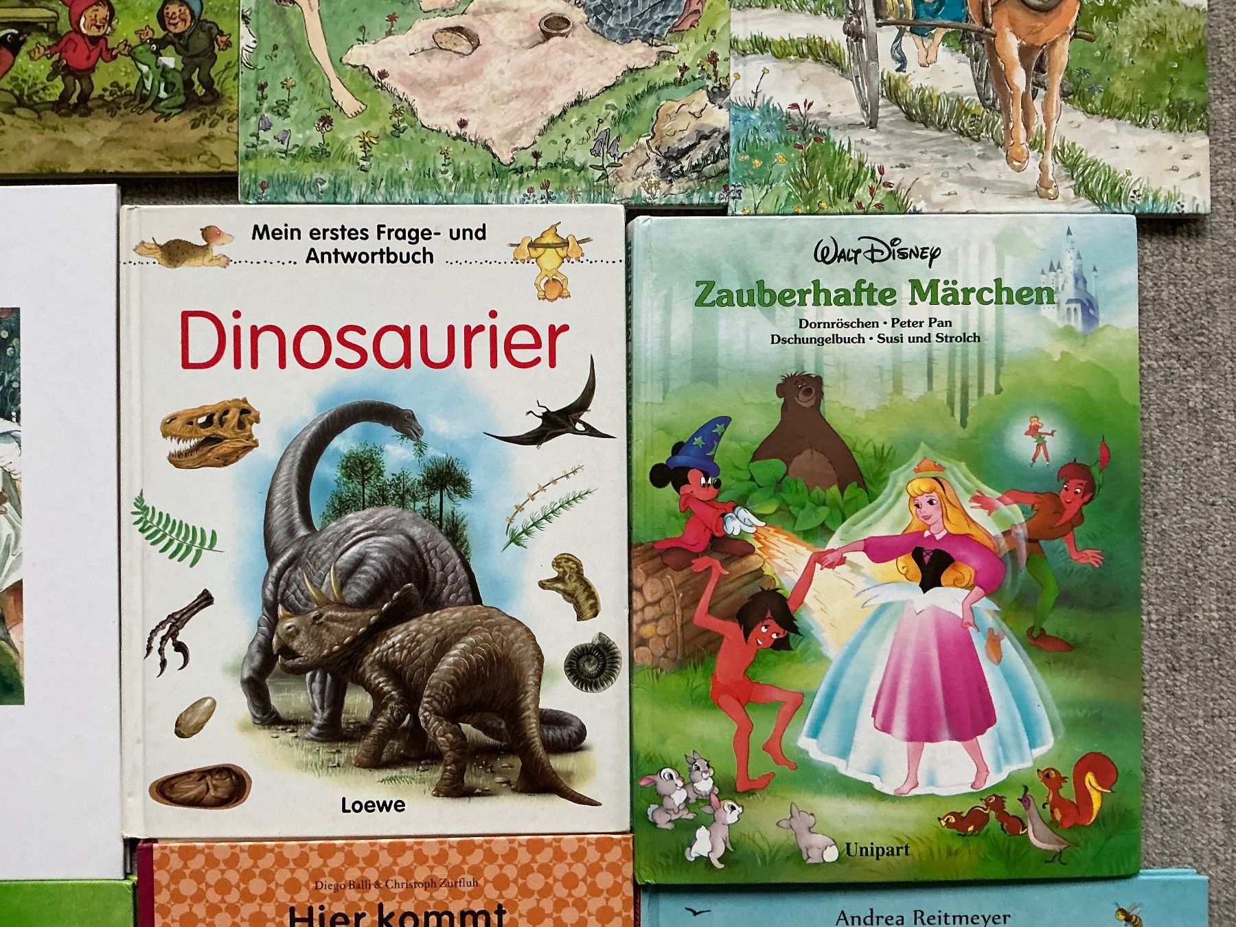 Libri: 12 schöne Kinderbücher – Usato da Jona venduto da Jancy60 4