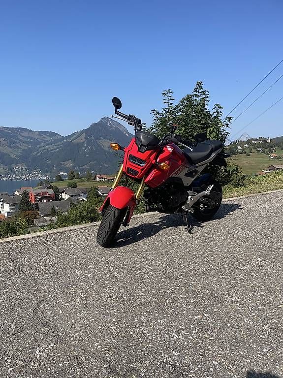 Route: Honda MSX 125A – D'occasion à Emmetten par Ciopy 1