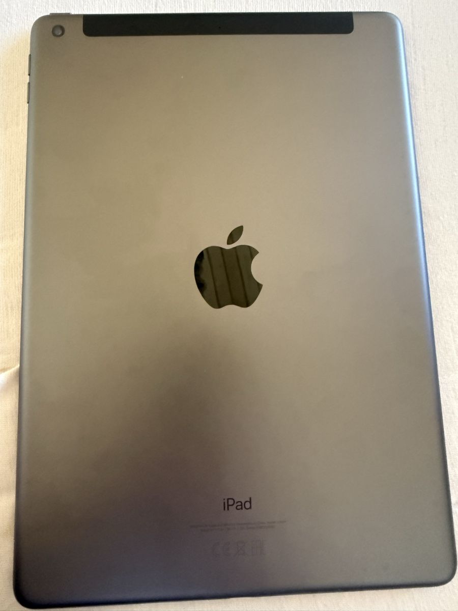 Apple Tablet PC: IPad 9. Generation 256GB – Usato da Waldkirch venduto da chrigisg 2
