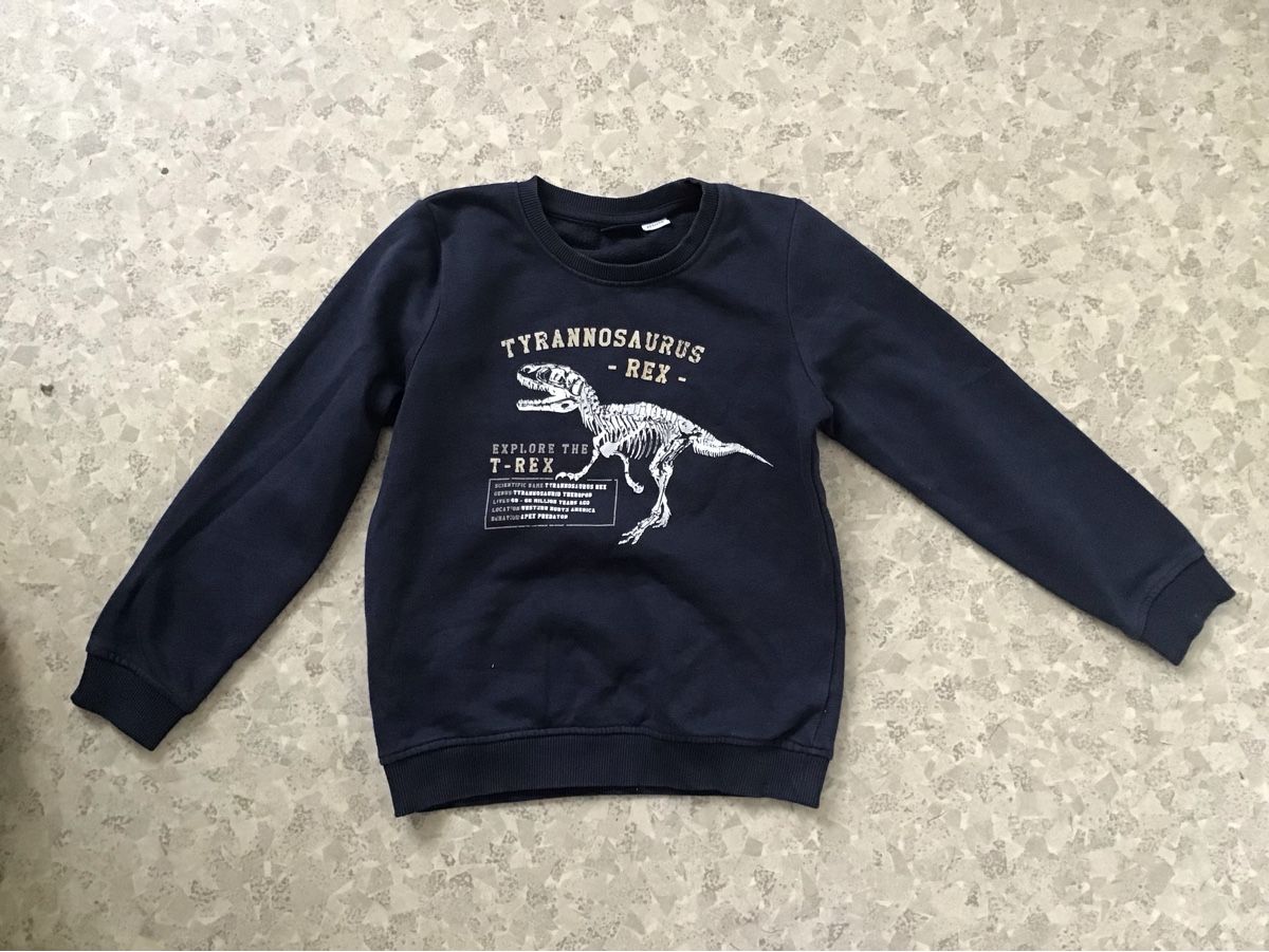 Maglioni & Felpe: Cooler Dino Pullover, Grösse 122/128, Top Zustand! – Usato da Seuzach venduto da Tureda