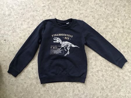 Cooler Dino Pullover, Grösse 122/128, Top Zustand!