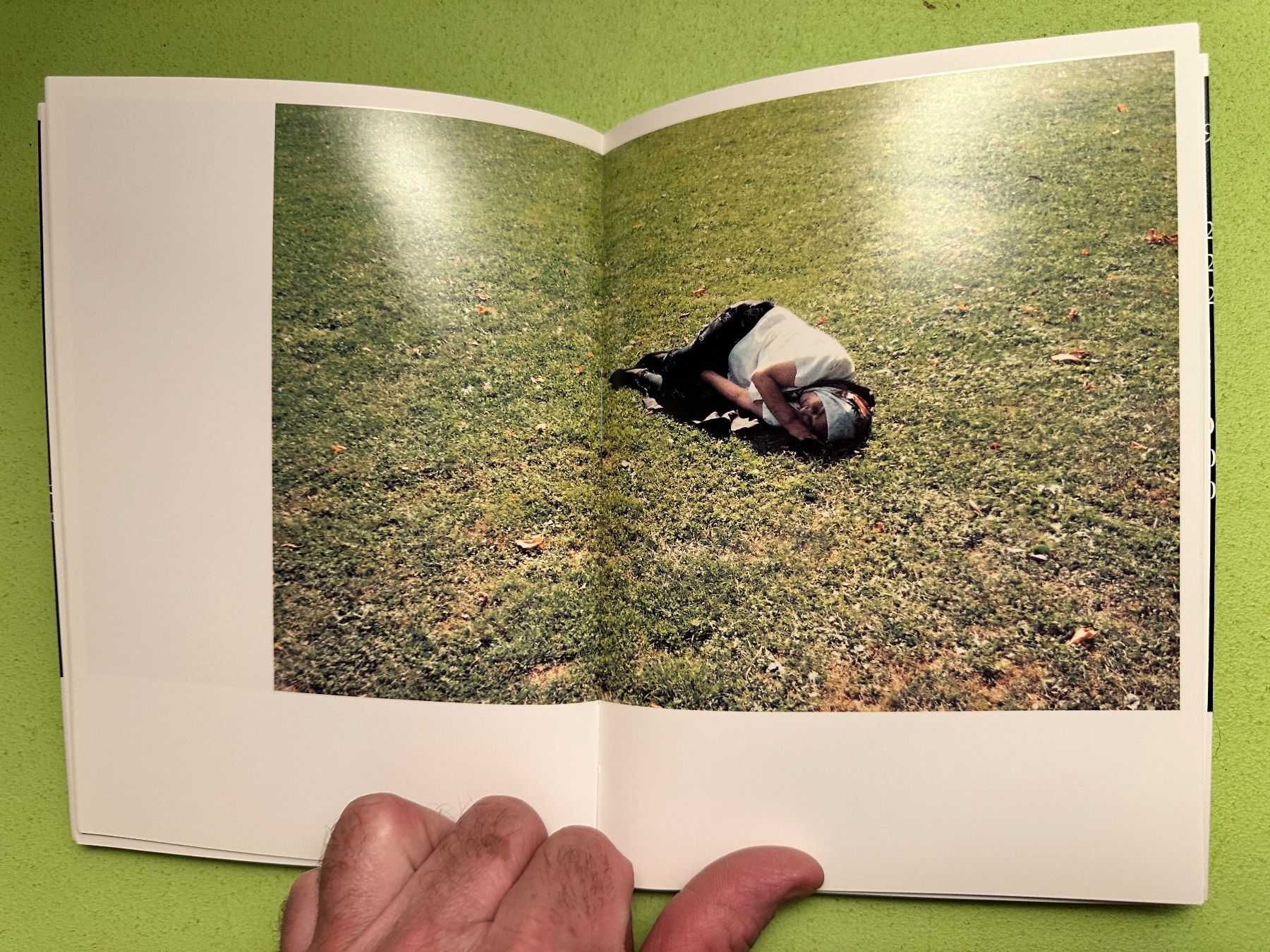 Libri: Erik Steinbrecher: 'Gras' – Usato da Zürich venduto da allp 3