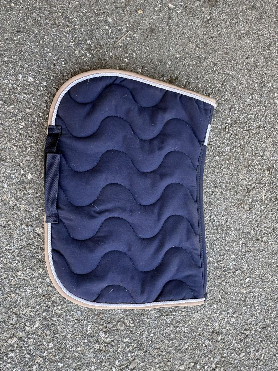 Selle & Accessori: Shetty Sattel Guy Cantin mit Zubehör – Nuovo (secondo la descrizione) da Ersigen venduto da mealagh 4