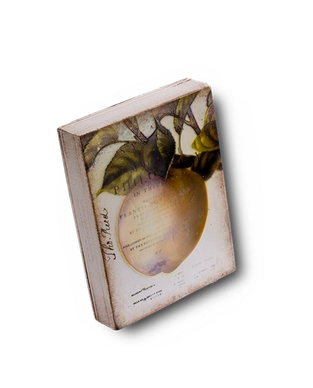 Foto & Immagini: Sid Dickens T-280 Golden Apple – Usato da Richterswil venduto da Katinka82