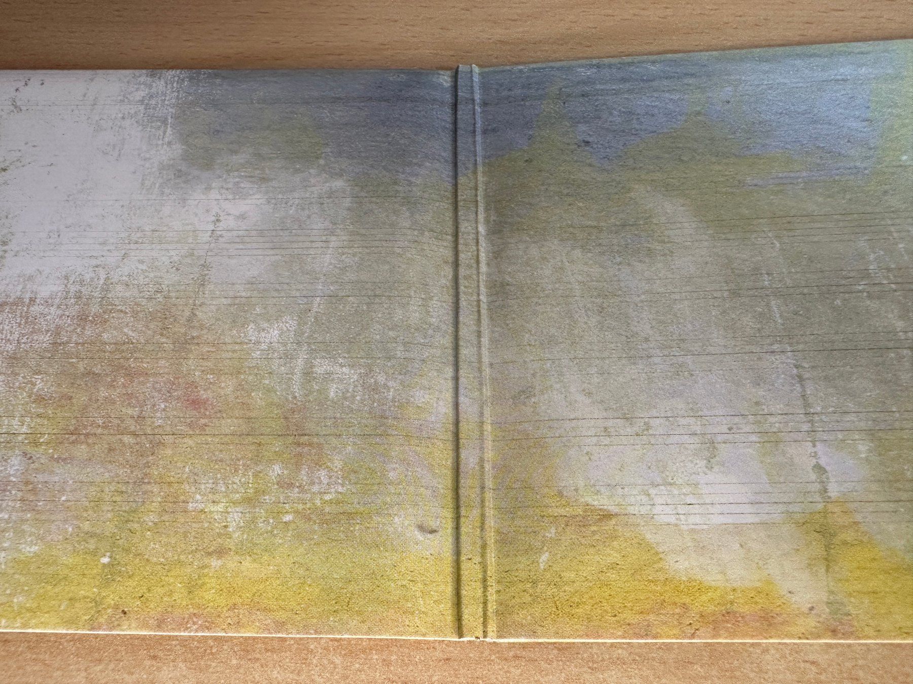 CDs: Villagers – Darling Arithmetic – Gebraucht aus Rikon im Tösstal von Alpenmutz 2