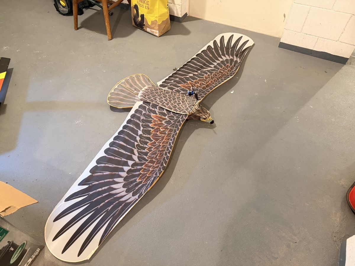 RC Modellbau: Rc Falke Modellflugzeug – Defekt aus Mühlau von Snackbitez